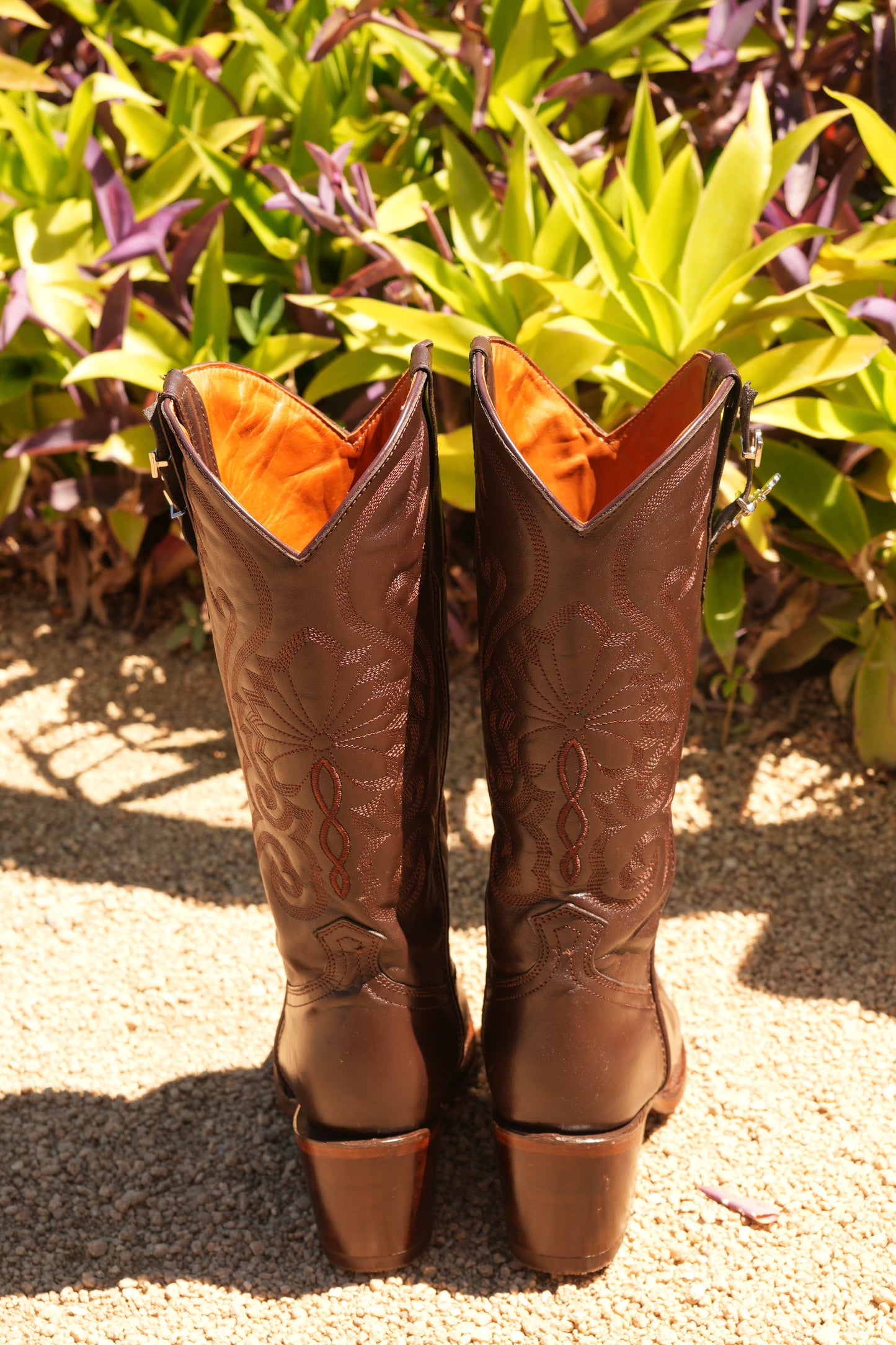DALLAS BOOTS